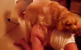 55370 bbw fucks dog