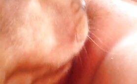 57177 enjoying my dog licking me