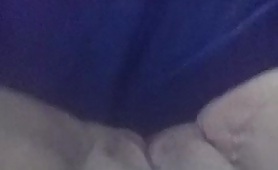 60839 ginger gets a snack