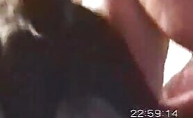 65430 dog rape woman