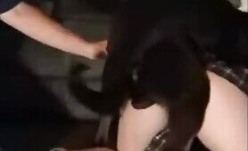 66224 dogfuck