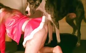 Knotty -Knotty's Christmas Tail