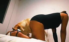 My sweet jack - Dog fuck Amateaur