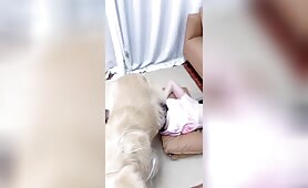 粉色旗袍+黑丝连体情趣内衣