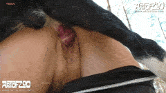 30 Cumshot compilation!