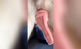 Dog Knots Fleshlight
