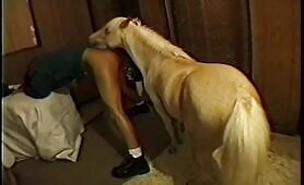 Fucked hard by pony