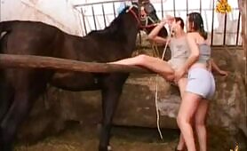 Horse with two girls bbd5062