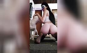 MoonlieK9 - Collection 2