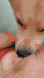 Leak me first, suck after - Amateur