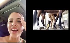 Reactions - hairpull girl see horses
