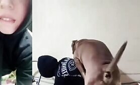 Reactions - hoodie girl has 3 phones lol