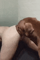 Lena - Up for - Amateur