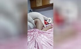 Chrysanthemum morifolium - 秋菊 - Amateur - Chapter 38