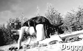 Dogggy - Black jack