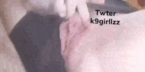 Septembers - k9girllzz