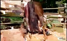 Phillipina girl sex with horse