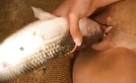 Pescados por la concha - EXCLUSIVE LEGASY