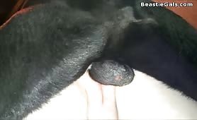 Deep vaginal dog fucking