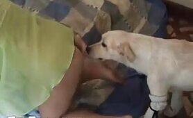Webcam - Couple Dog Fuck - EXCLUSIVE LEGASY