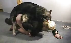Girl gets fucked doggy style by pet