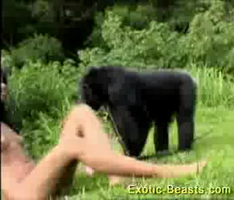 Blonde Fucking Chimpanzee