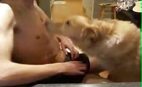 Teen fuck his dog