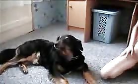 Sexy girl loving dog sex