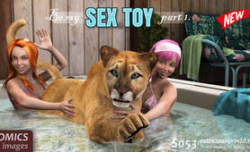 Sex Toy