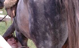 Horses and Girls  160