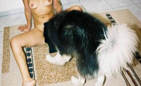 3 BRAZ SHARE DOG