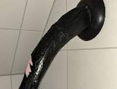 Horsedildo1