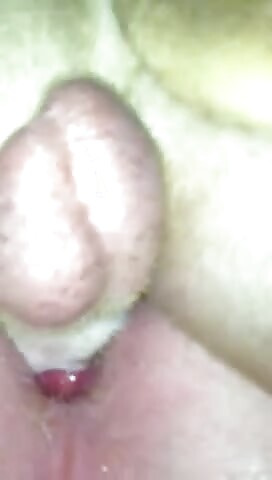 Pit Bull knots up in Ginger Boy's Ass