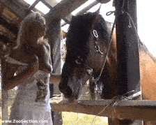 Cowgirl - EXCLUSIVE LEGASY