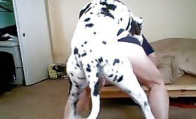Doggie style porn