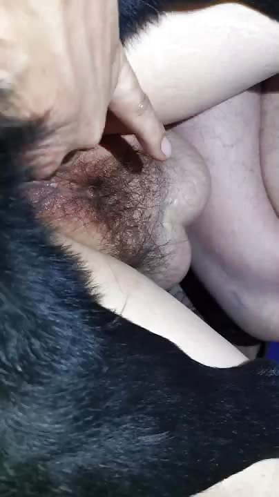 chinese fucked