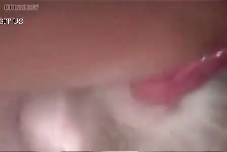 Stretched pussy for small dog