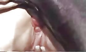 Dog fucks his mistress in all holes
