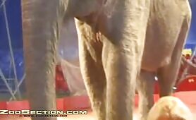 Milly with elephant p.2 - EXCLUSIVE LEGASY