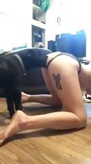 Dog fucks girlfriend