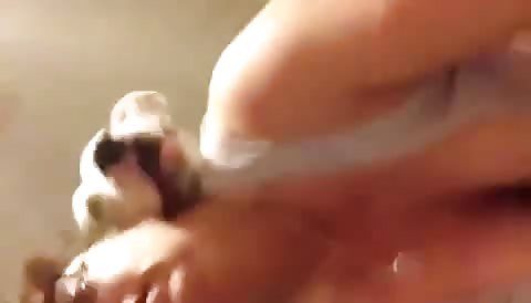 Tearing the pussy up