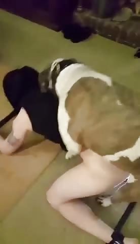 My girlfriend's friend and my dog 2