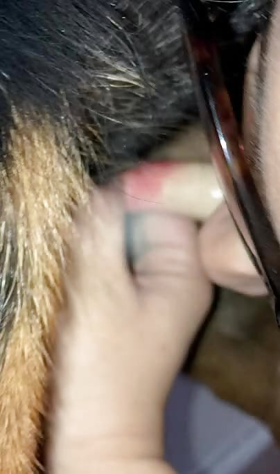 My little dog slut 2
