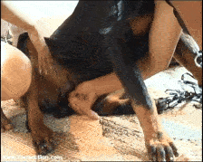 Two Girls jumping a Dog