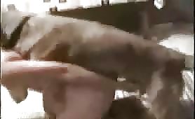 Female dog sex beastiality video