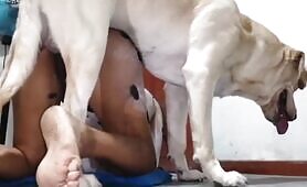 Sexy Latina taking dog's big knott 