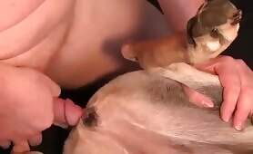 Guy Fucking his dog's pussy 