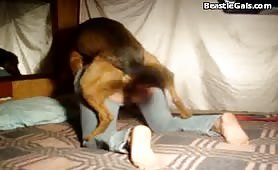 Doggy having fun with mistress