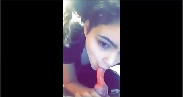 Dog blowjob