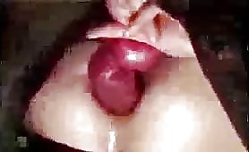 Beastiality sex